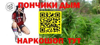 дмт Гай