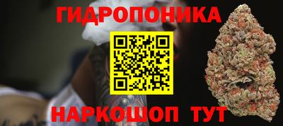 дмт Гай
