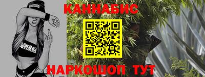 дмт Гай