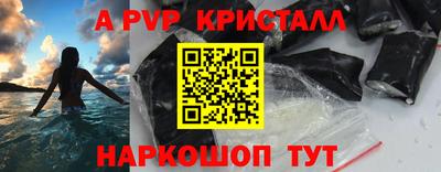 spice Гатчина