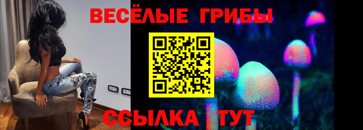 Галлюциногенные грибы мицелий Можга